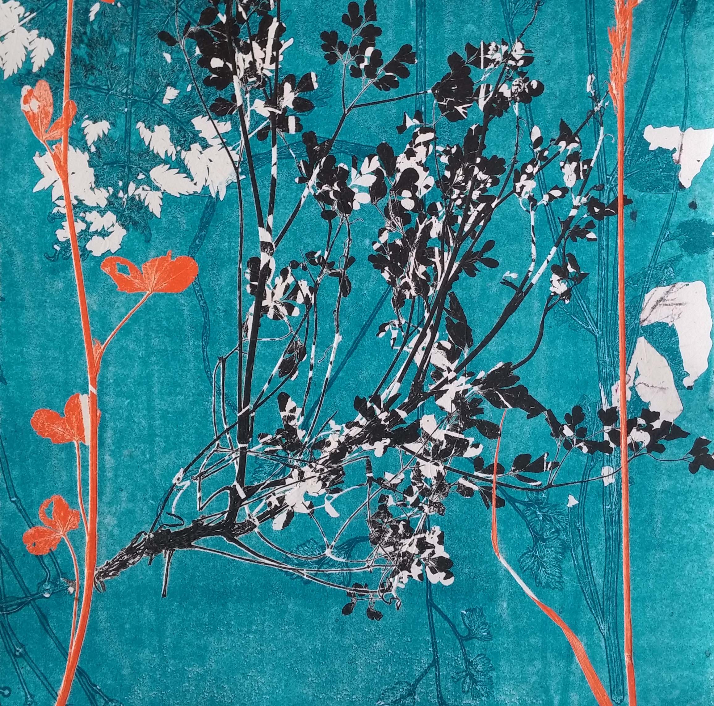 Herbarium